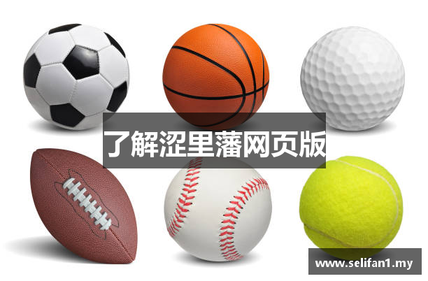 了解涩里藩网页版