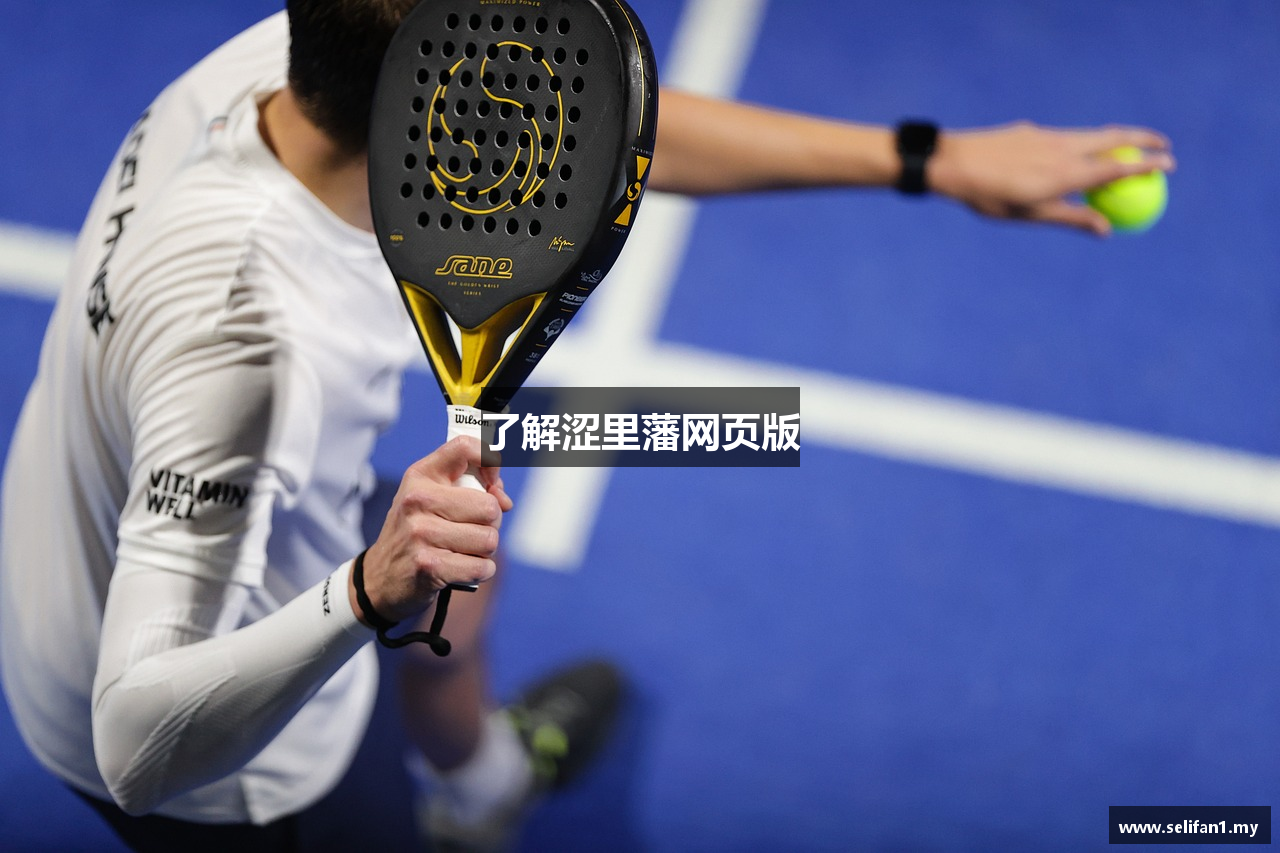 了解涩里藩网页版